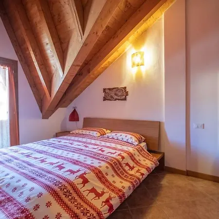 Happy Guest - Alpin Borno